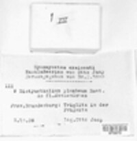 Image Associated With the Occurence